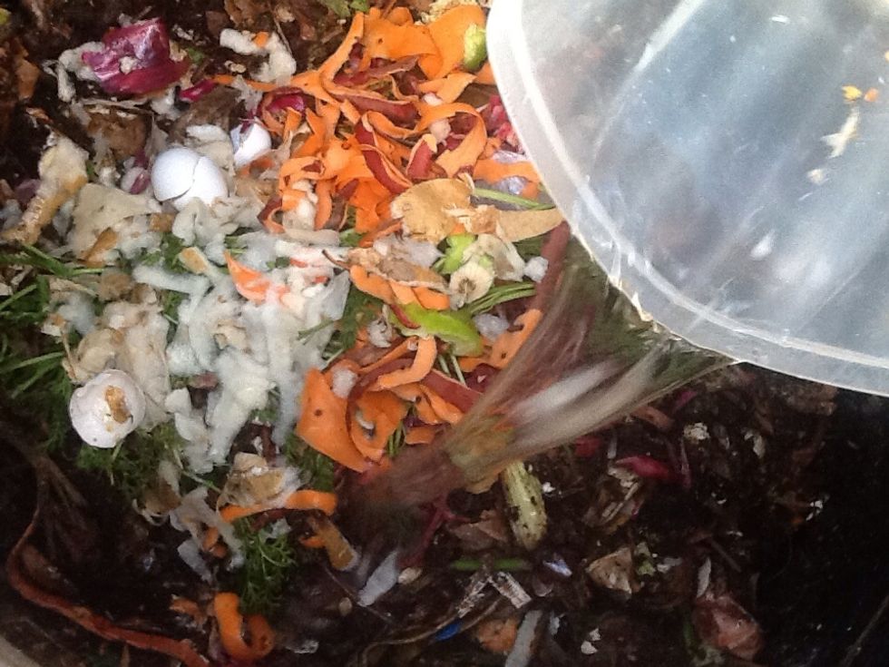 Pour the water on the compost pile.