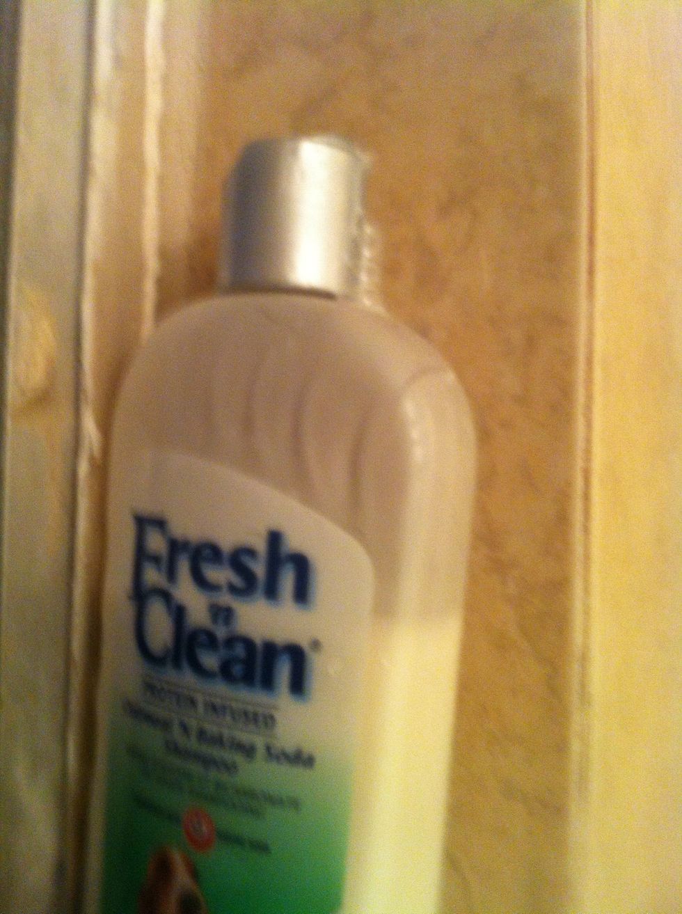 Pour this on the dog (avoid getting in eyes) and lather. I like to give her almost like a massage and really get the shampoo on her, an get the loose hair off of her. She use to shed a lot.