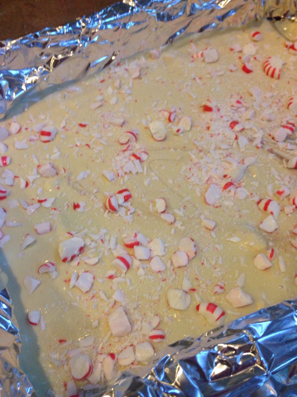 Pour white chocolate over chocolate layer, and, work quickly, spread even. Sprinkle with crushed peppermints. Gently press the candy in a bit.