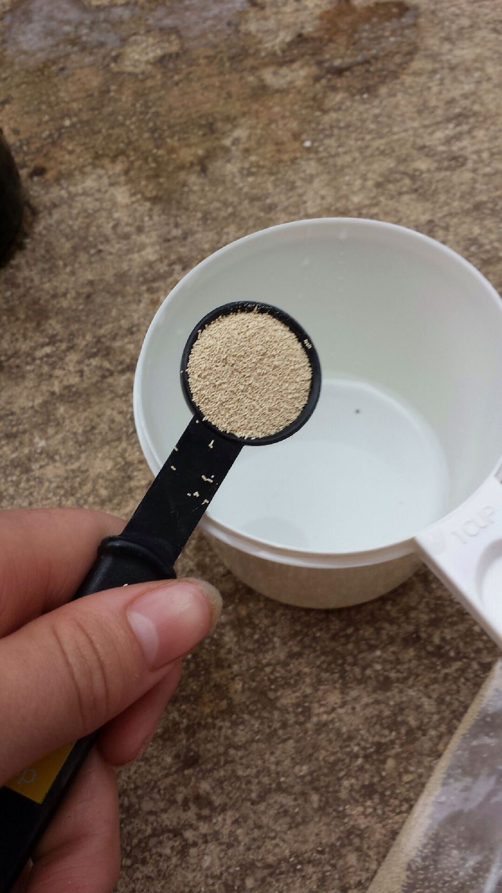 Pour yeast into one cup of hot water