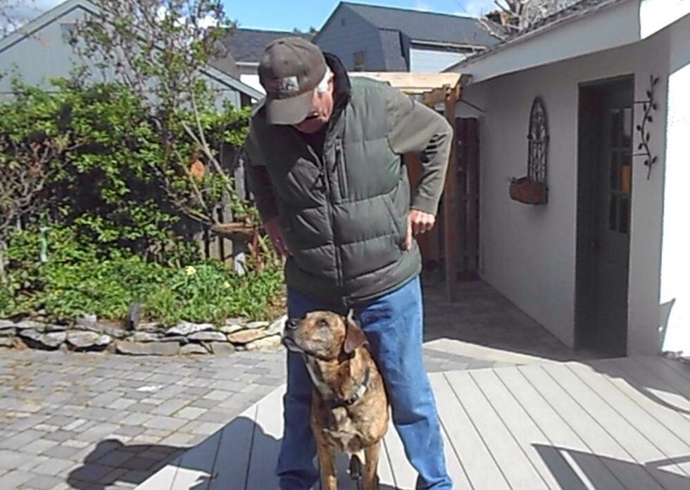 Practice and patience and your dog will be able to play peekaboo from across the room or yard. Be sure to add some distractions. Attention is important so call your dogs name before giving hand cue .