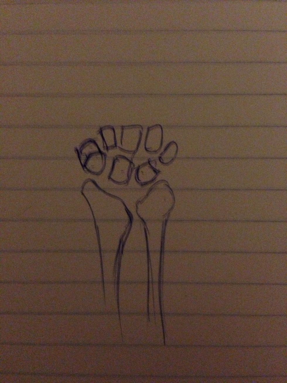 Practice learning the bones of the arm and hand