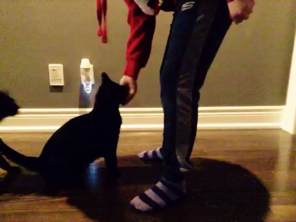 Praise him/her and give them the treat.