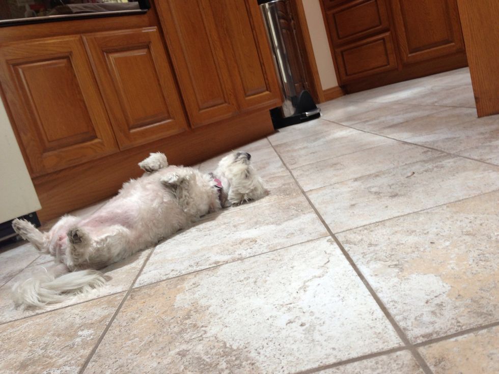 Precious got tired of waiting\u2026