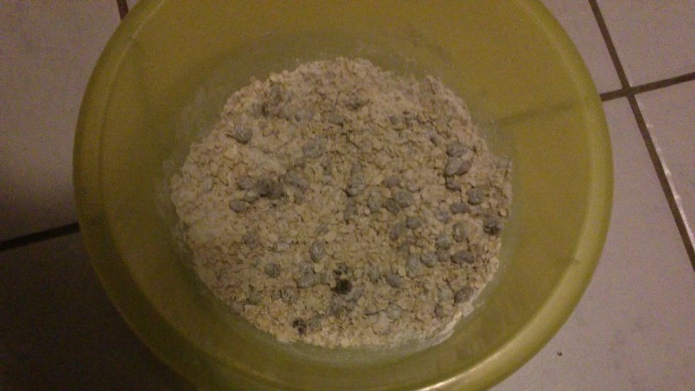 Preheat oven to 350 degrees. In a medium bowl, whisk together oats, flour, raisins, baking soda, and salt; set aside.