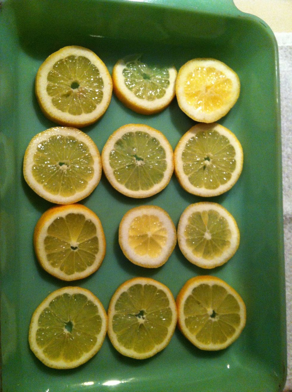 Preheat oven to 375*. Line casserole dish with lemon slices.