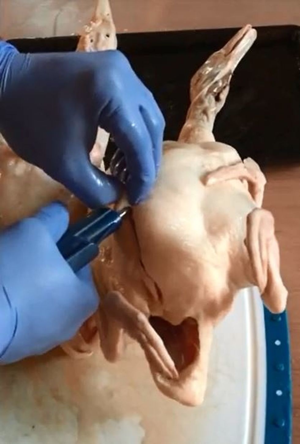 Prep duck skin by using an air compressor to separate the skin from the meat.