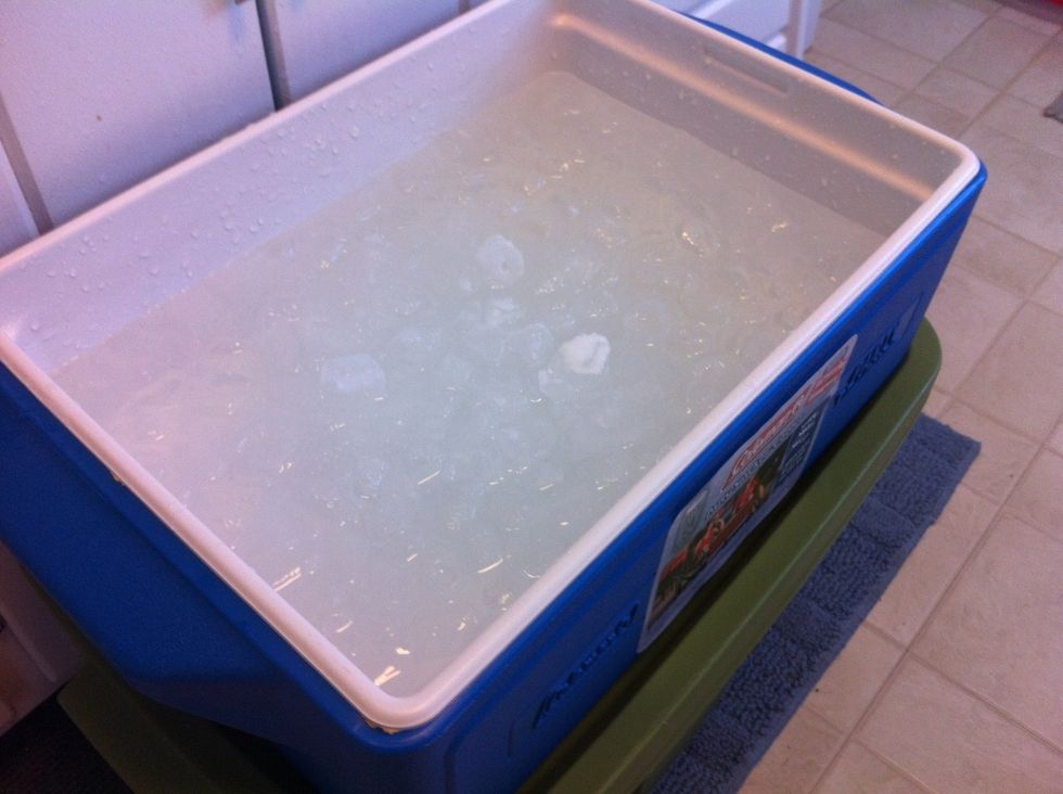 Prepare and ice bath with 10 minutes left in the boil. Dump one bag of ice and fill with about 4 inches of water