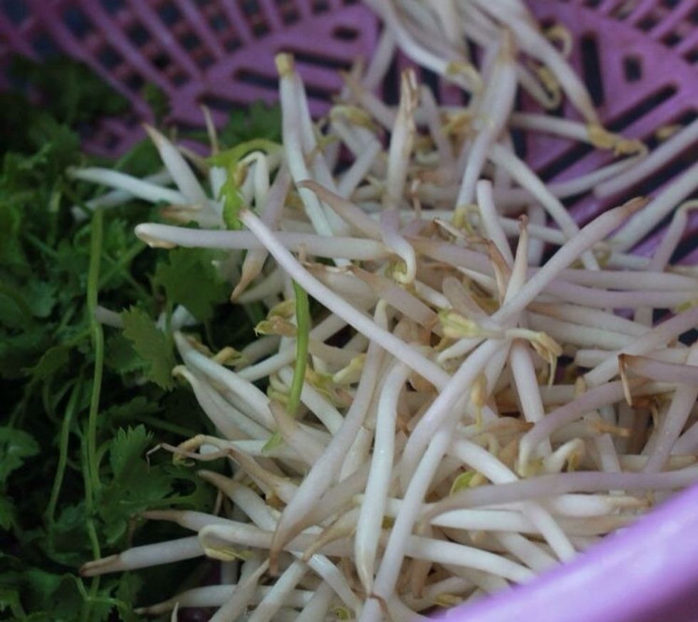 Prepare mungbean and cilantro already. Actually in Vietnam I use more herbs which are not available here such as Thai Basil, sawtooth