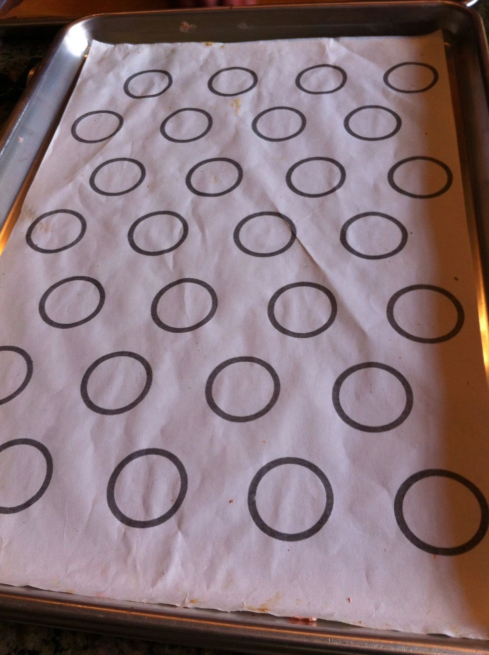 Prepare piping template onto baking sheet. Circles are 1 in diameter 2 inches apart.