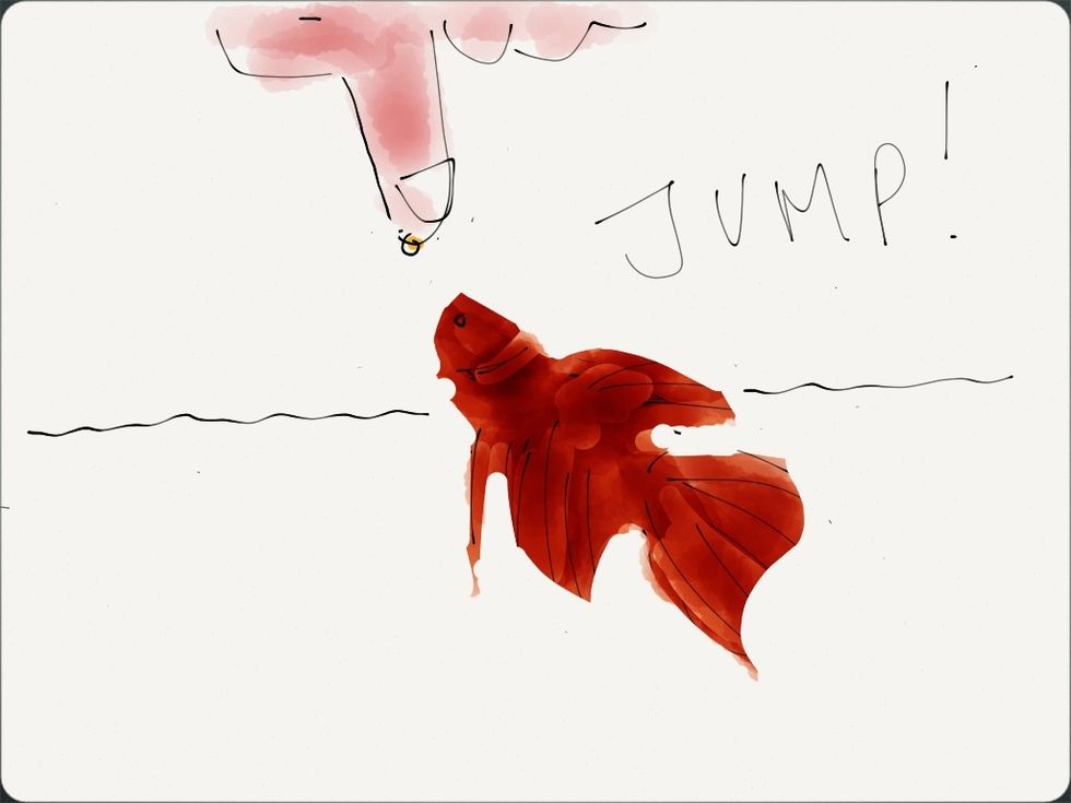 Prepare to enjoy your Betta a whole lot more. Artist rendition does not depict actual. Always ask your Veterinarian before adopting a new diet or training regimen for your pets.