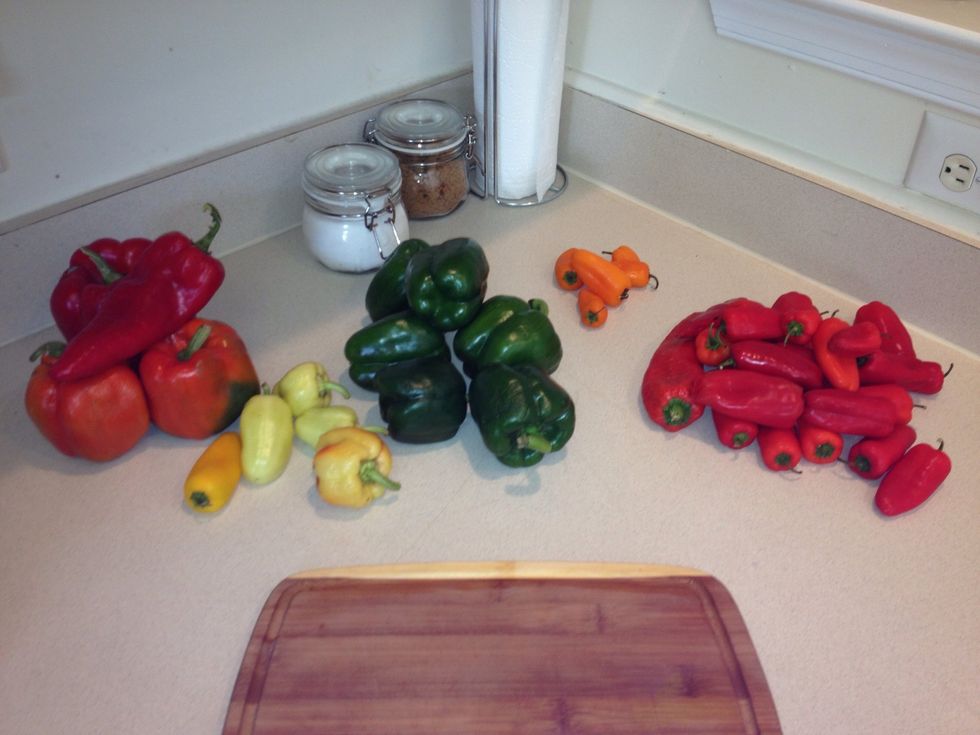 Prepare your peppers by washing clean