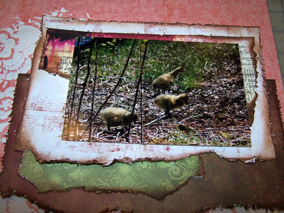 Prepare your photo and matting