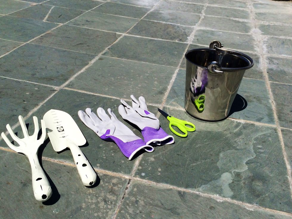 Prepare your planting tools. I like using a small shovel when re-potting plants. Gloves help protect your hands, a small bucket is handy for watering and small garden scissors.