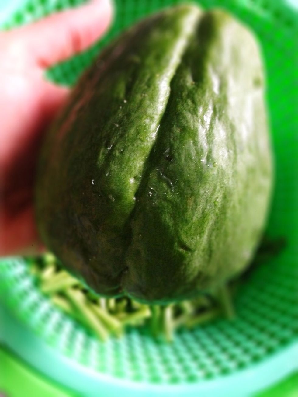 Prepare your water squash.