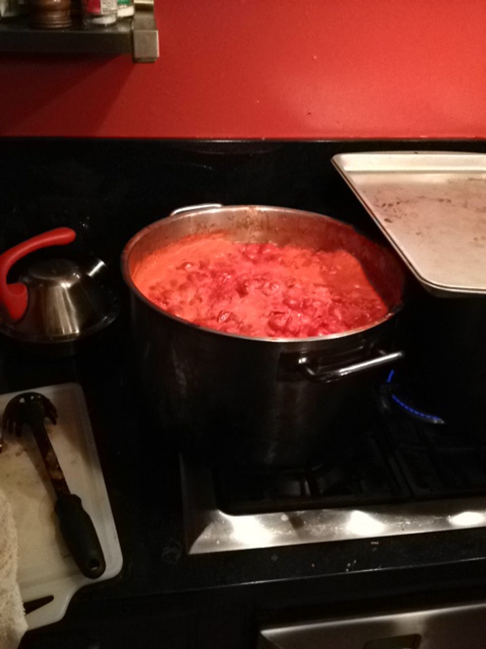 Press down and squeeze the tomatoes to create a couple inches of juice. Simmer the tomatoes until well softened (at least 40 min) Do not stir too often (separation of water and solids is the goal)
