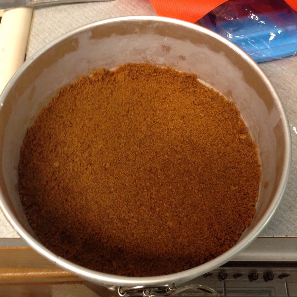 Press into your springform pan