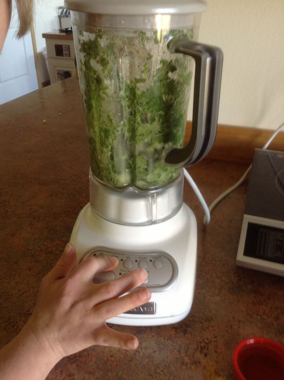 Press pulse until cilantro is finely chopped.