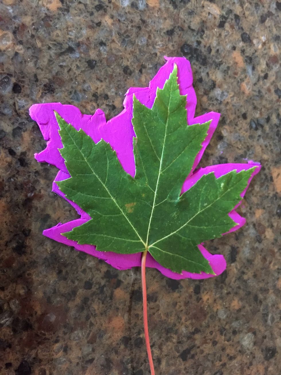 Press the leaf on flat, press on the leaf, make sure it creates a imprint. Roll over the clay with the leaf on top of it with a rolling pin so the clay makes a print in the clay