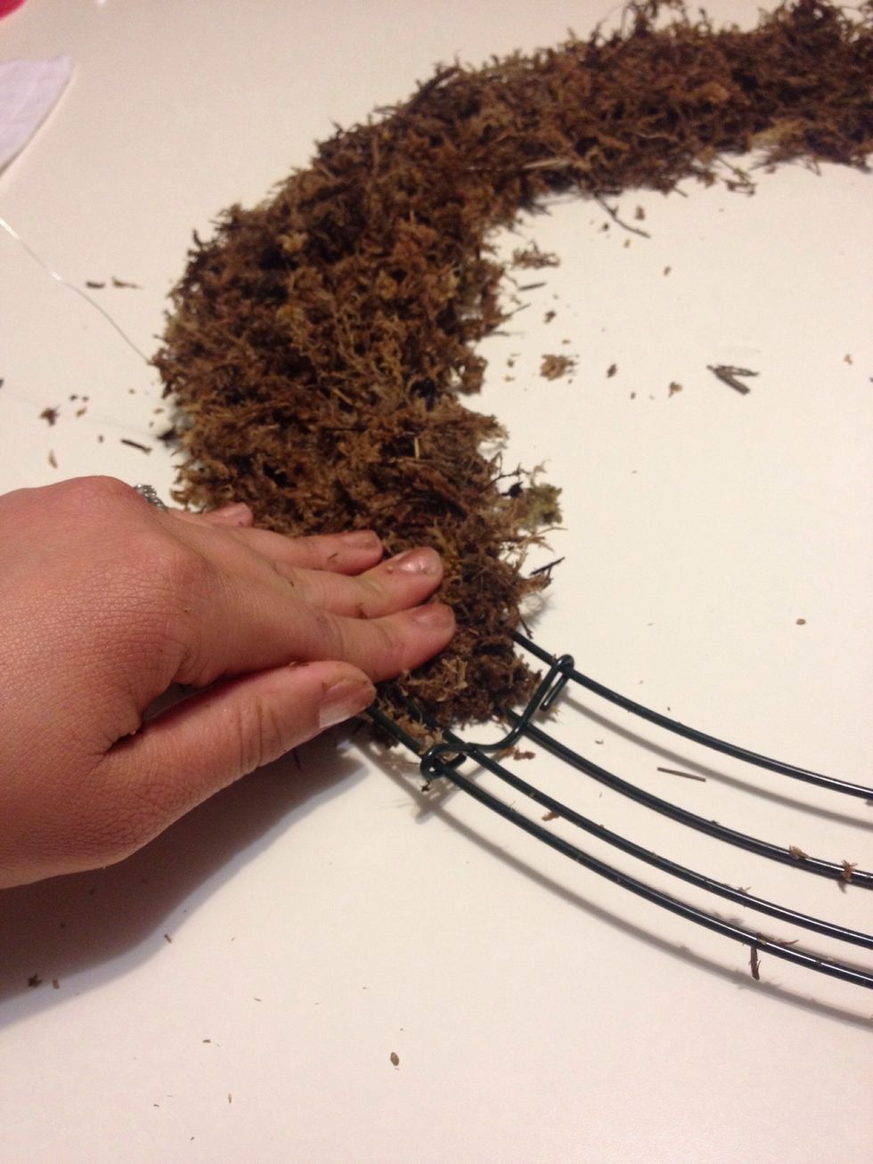 Press the moss into the wire wreath frame.