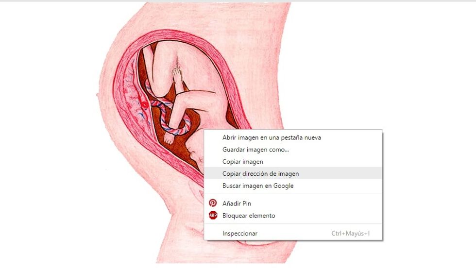 Press the right button of the mouse and click on 'Copy image url' or 'copiar direccion de imagen'