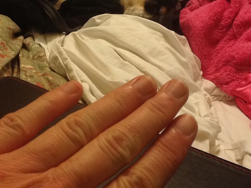 Prime your cuticles and nail bed to make a prettier finish. I have another guide that shows this.