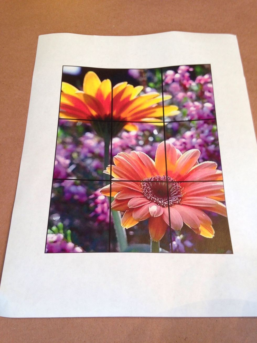 Print a photo of flower and draw or print a grid on top of the photo.