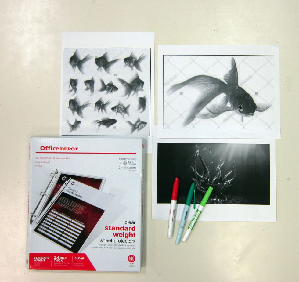 Print photo references out as large, full-page prints so you can see as much of the contour details as possible. Place each photo in a plastic page protector and choose a marker color.