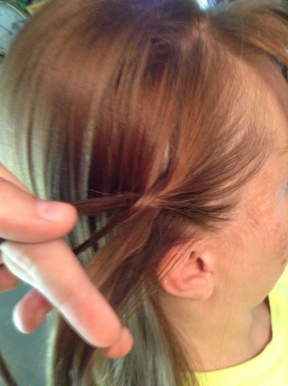 Proceed to do a French braid, only pulling strands from the bottom of the braid