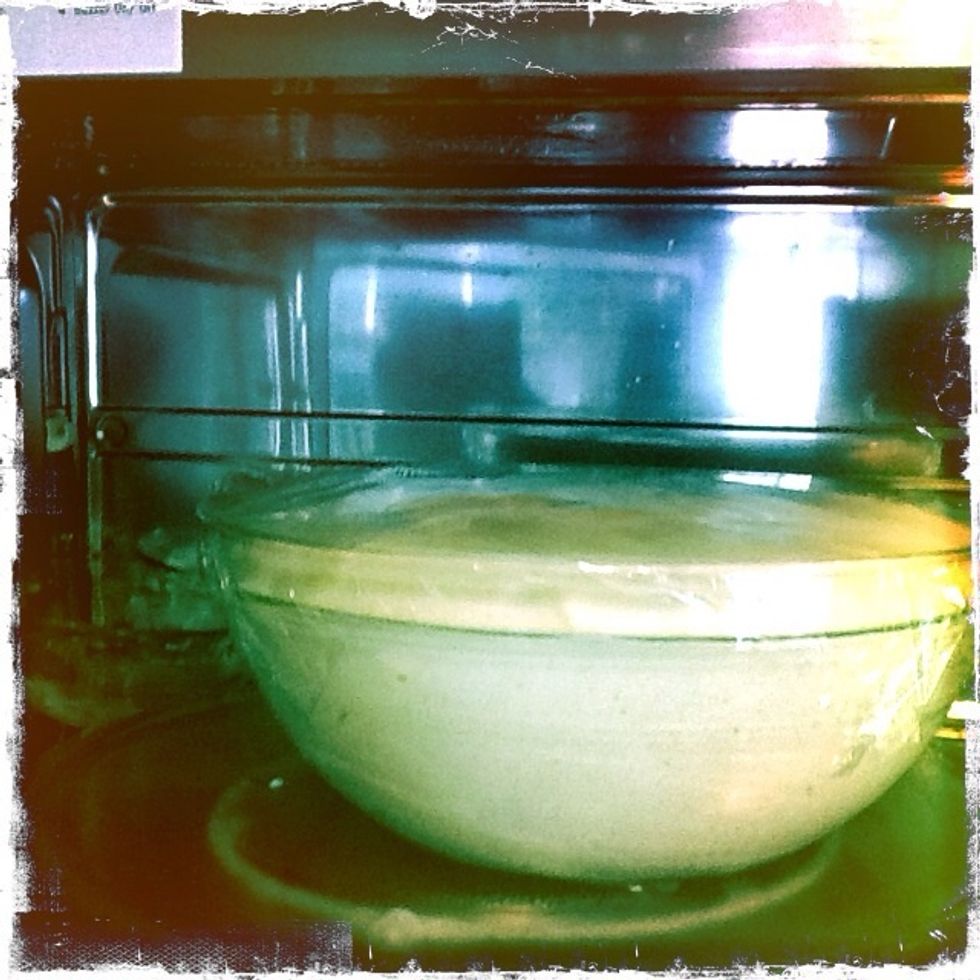 Proof for 1 hour or until doubled. I check at the half hour mark to see how much longer it will need.