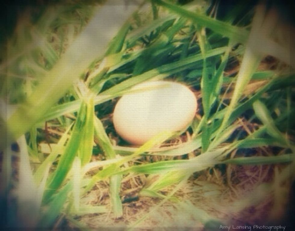 Pudding cam has multiple filters and camera types for you to choose from and take pictures. :)