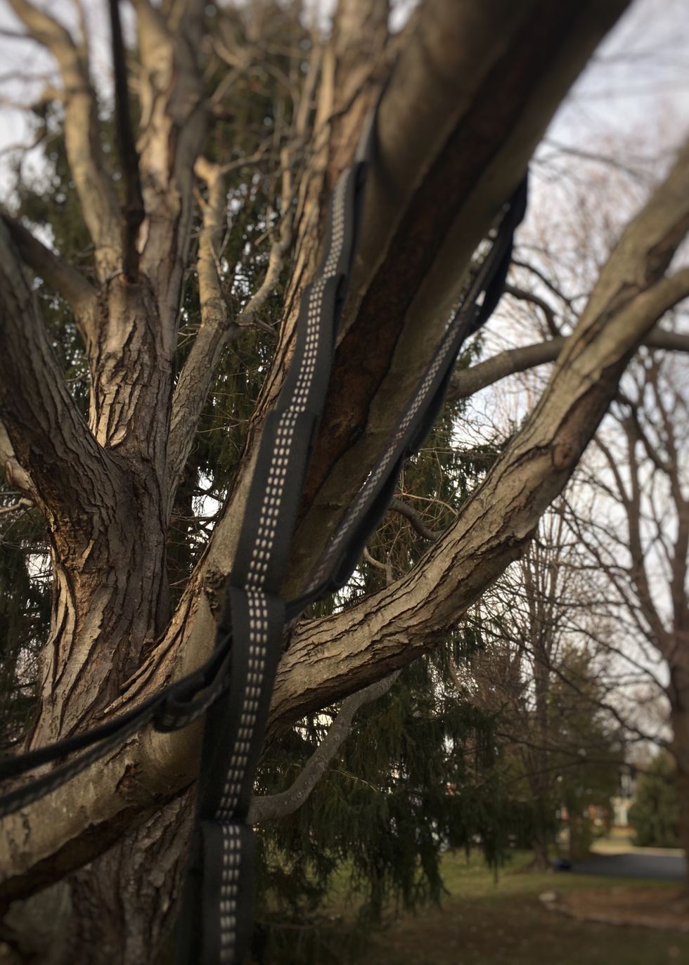 Pull one side of the strap through the loops on the other side.