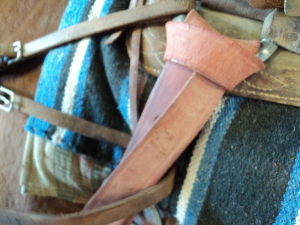 Pull the latigo down, behind the first latigo loop to tighten it.