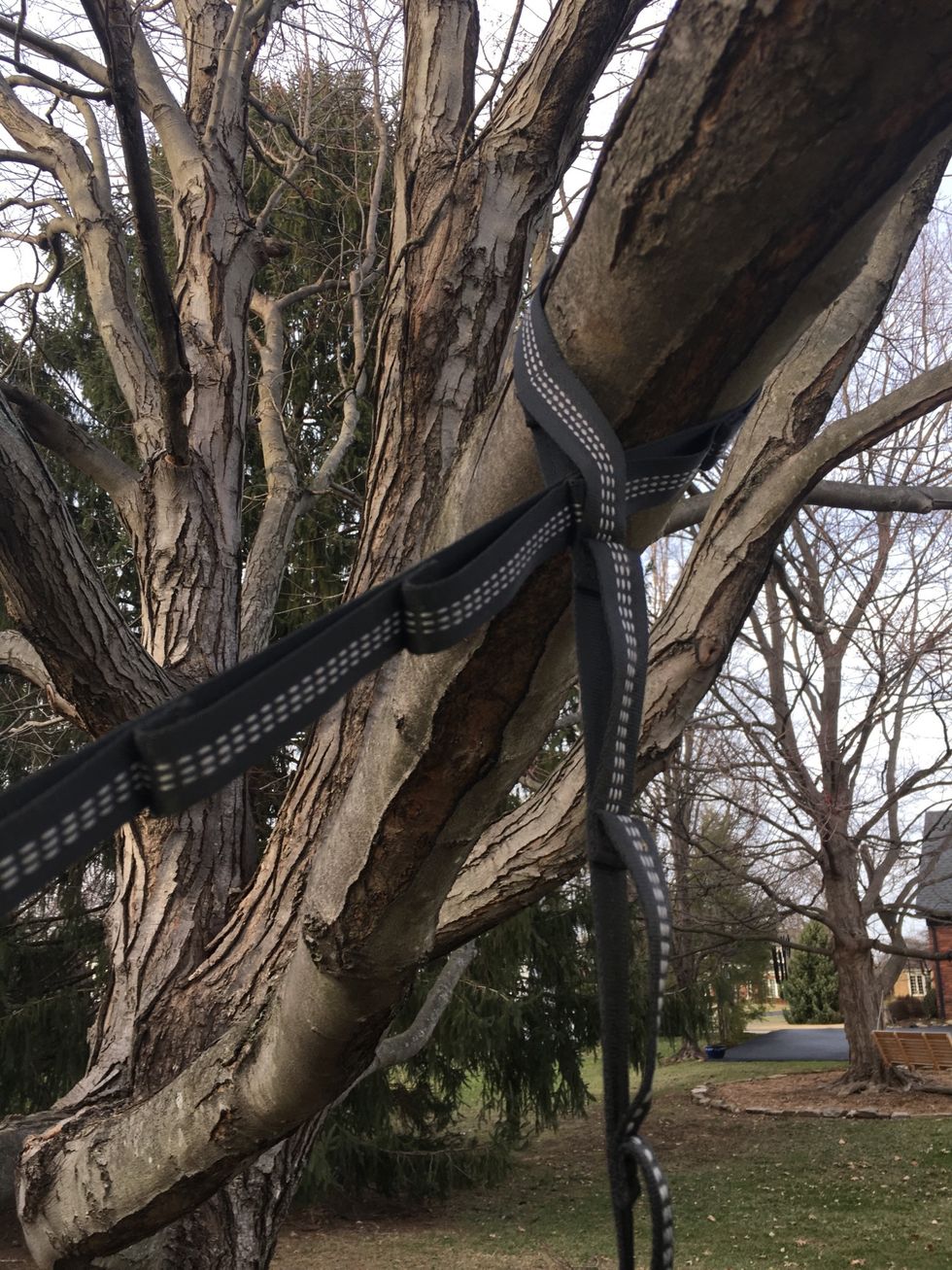Pull tight against the tree.