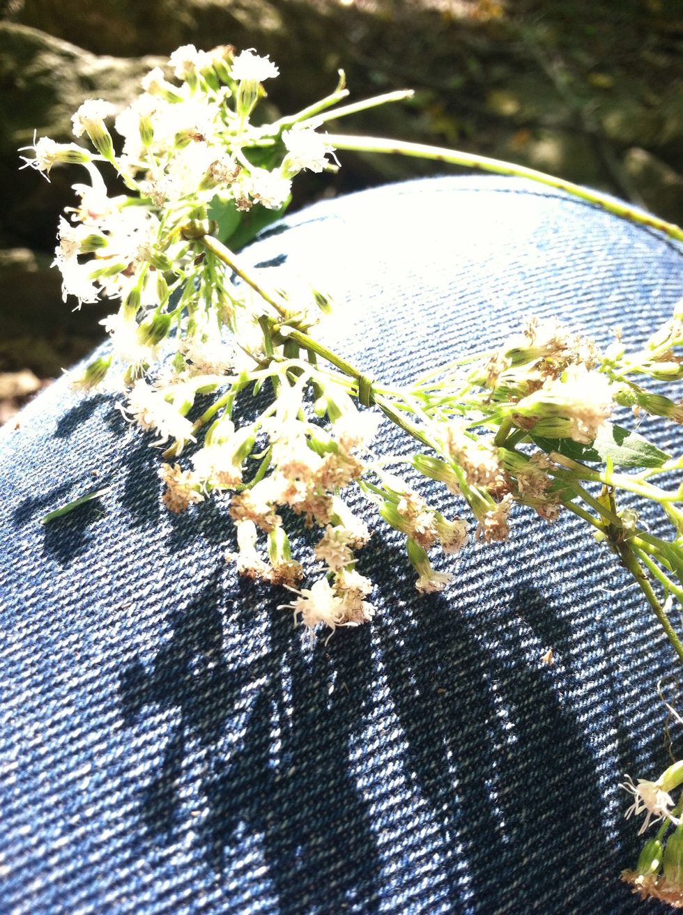 Pull tight and repeat until you have something to the effect of a wreath