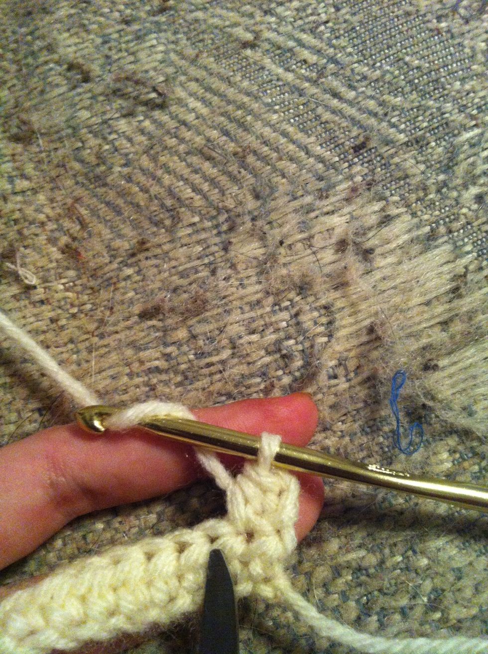 pull trough the 3 loops on your hook. that's the first half double crochet of your second row. keep going till you reach the end of your row.