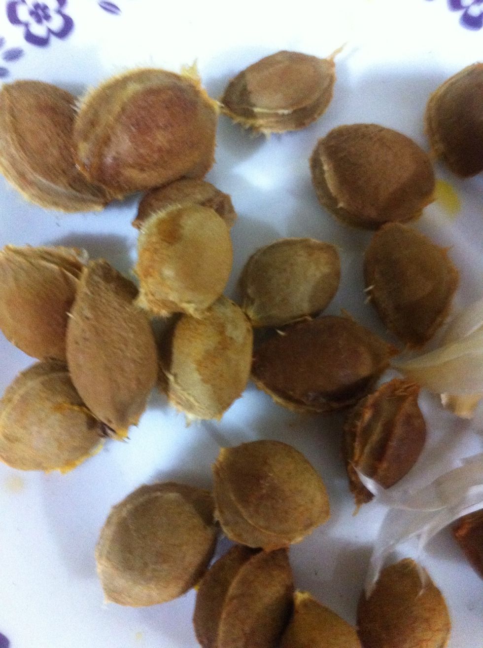 Pulse the blender n while ze smoothie is whirling inside, I took 7 apricot seeds. I always save seeds after eating apricots. They're full of Laetrile, vit. B12 which kills any cancerous cells in body