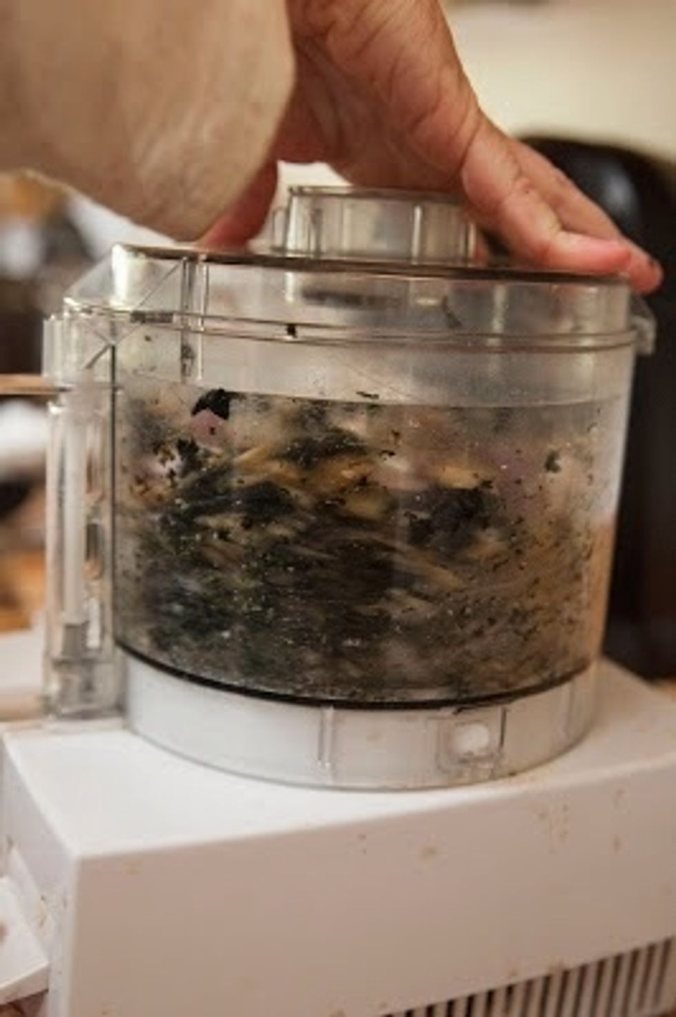 Pulse the food processor.