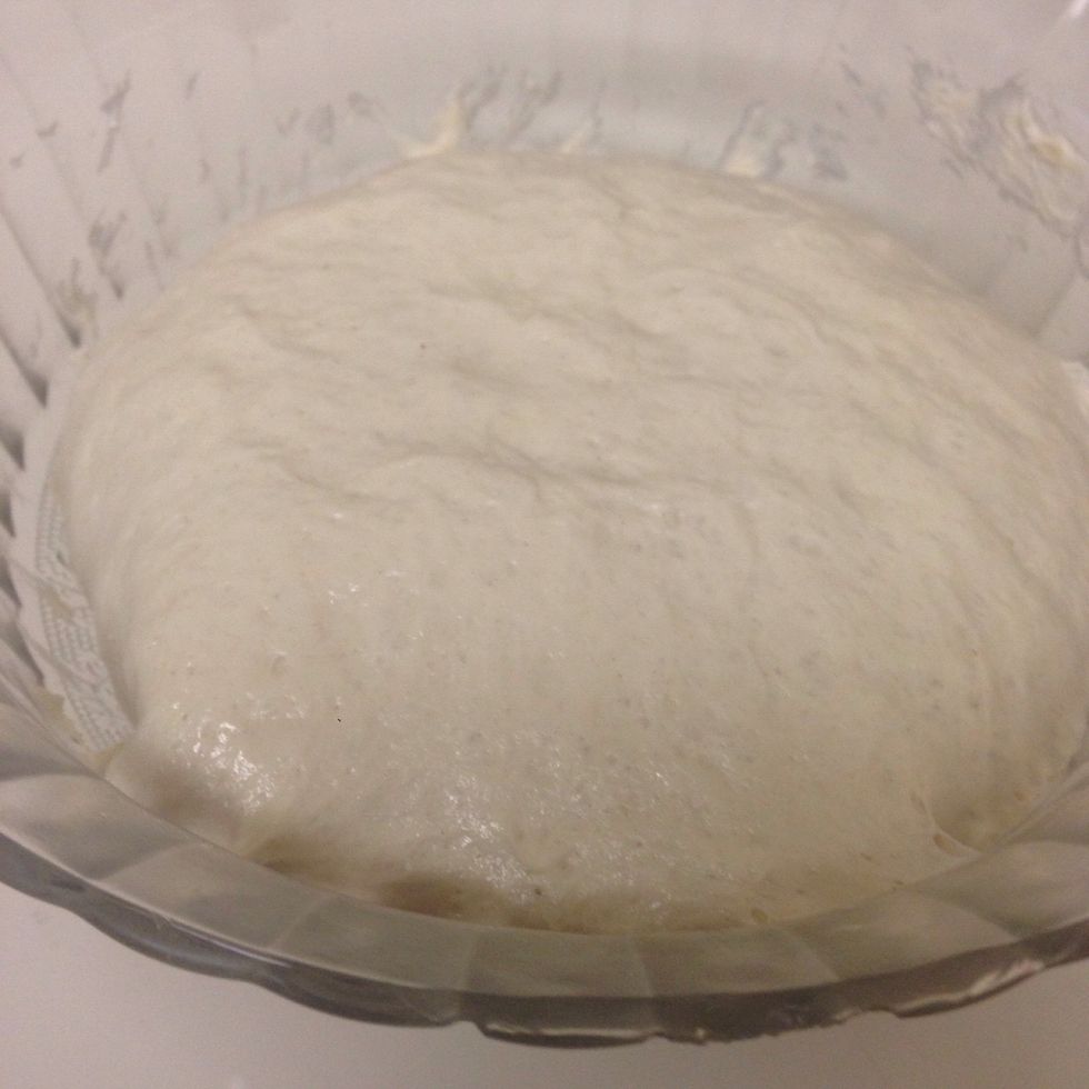 Punch it down gently, to remove some of the gas bubbles.