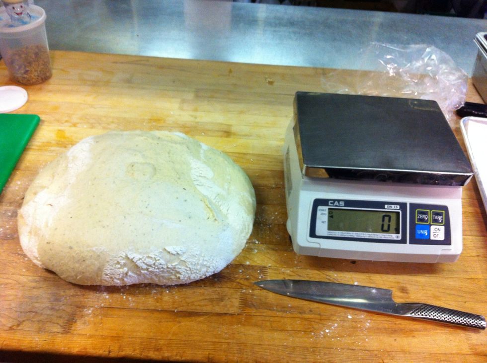 Punch it down the same way you made a ball before and get out your knife and scale.