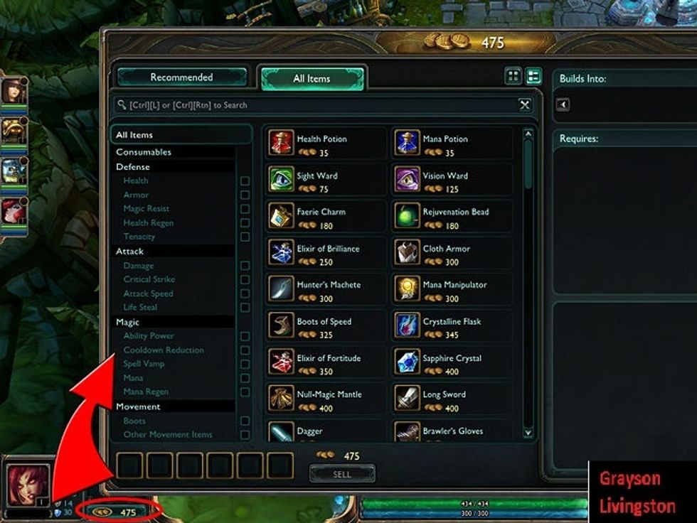 Purchase items. When you first enter the map, you will be placed next to the store, where you should buy some items. You can purchase consumables and items which fortify your attributes.