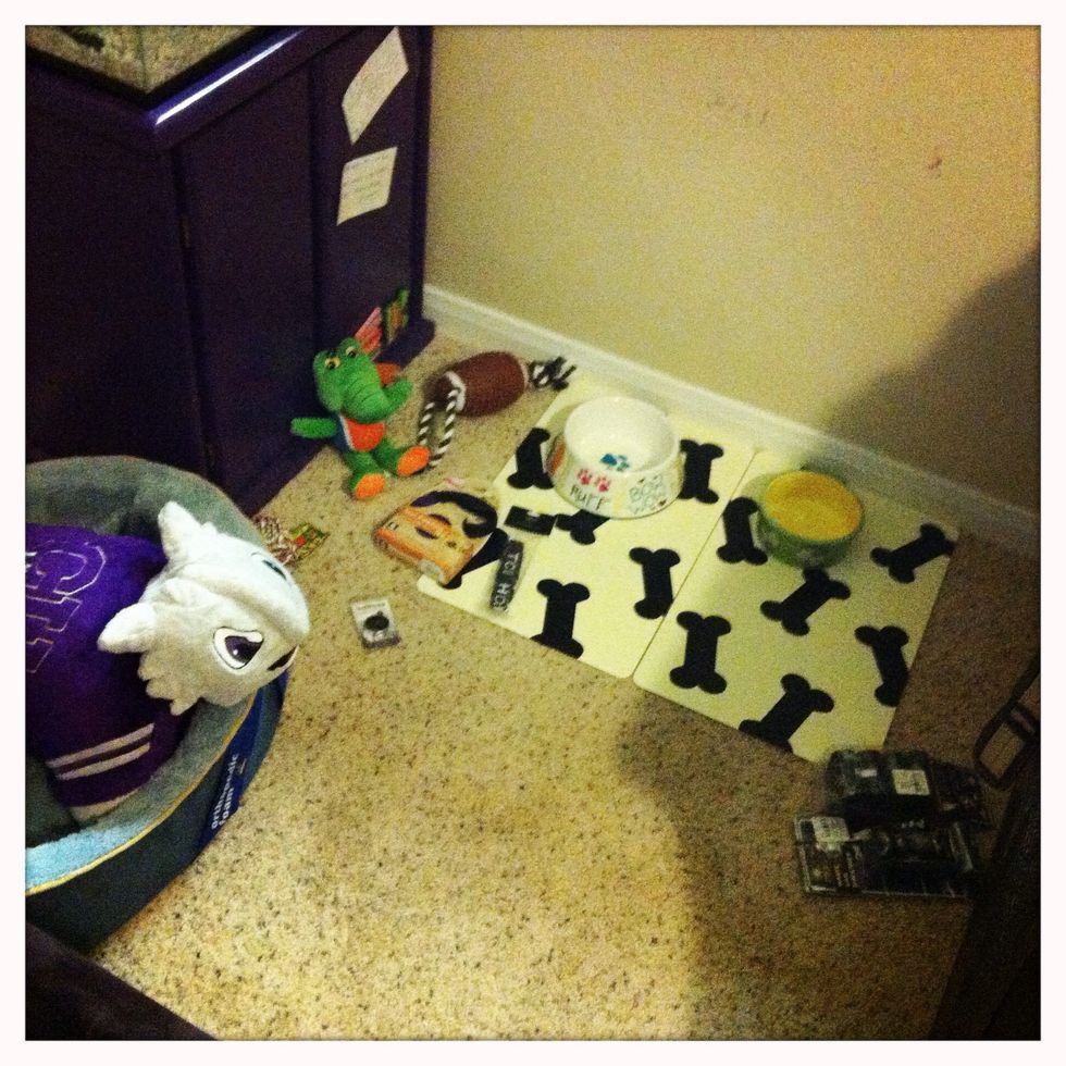 Purchase necessary dog accessories. Use another stuffed animal or pillow pet as a stand in.