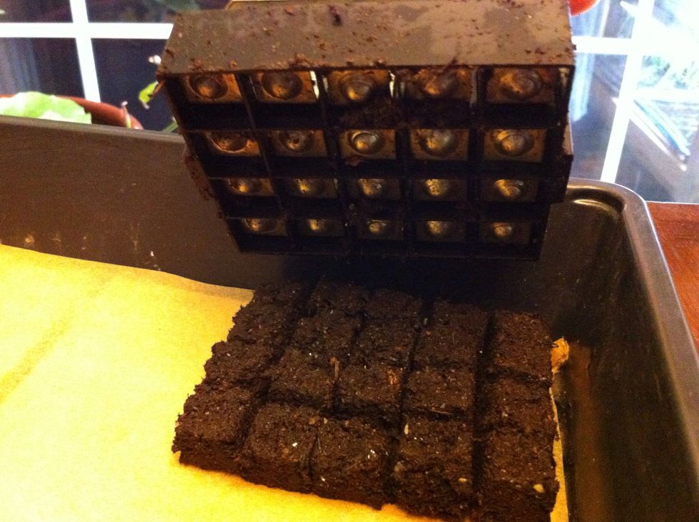 Push cubes out of blocker into position on seed tray. If you position blocker vertically, you can get 3 entire blocks snugly across tray x 5 blocks lengthwise (we add last row by hand) for 312 cubes.
