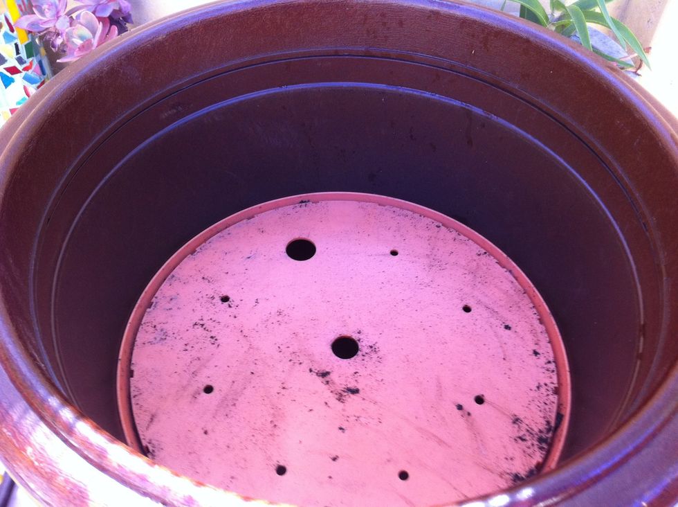 Push insert as far down as you can until it won't go any further. The insert should go in low enough so that your plant has room for roots to grow and spread.