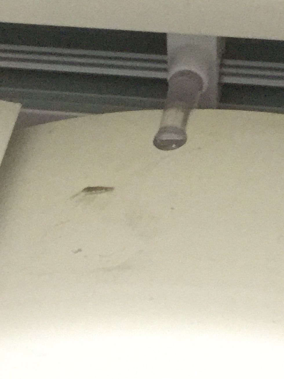 Push the blind gently back into place and...