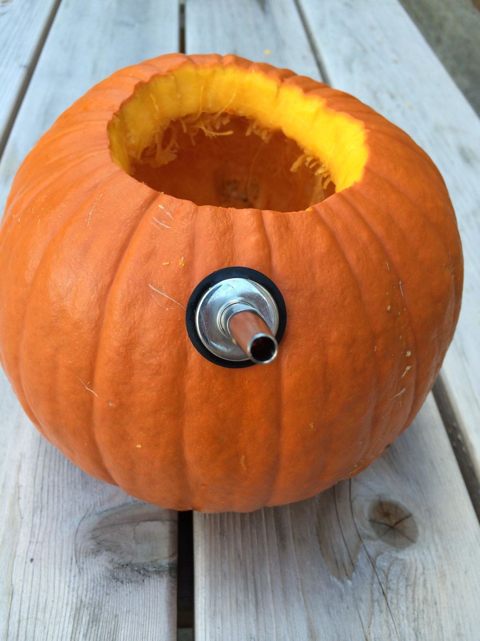 Push the olive oil dispenser into the hole, so that it is fully flush with the pumpkin.