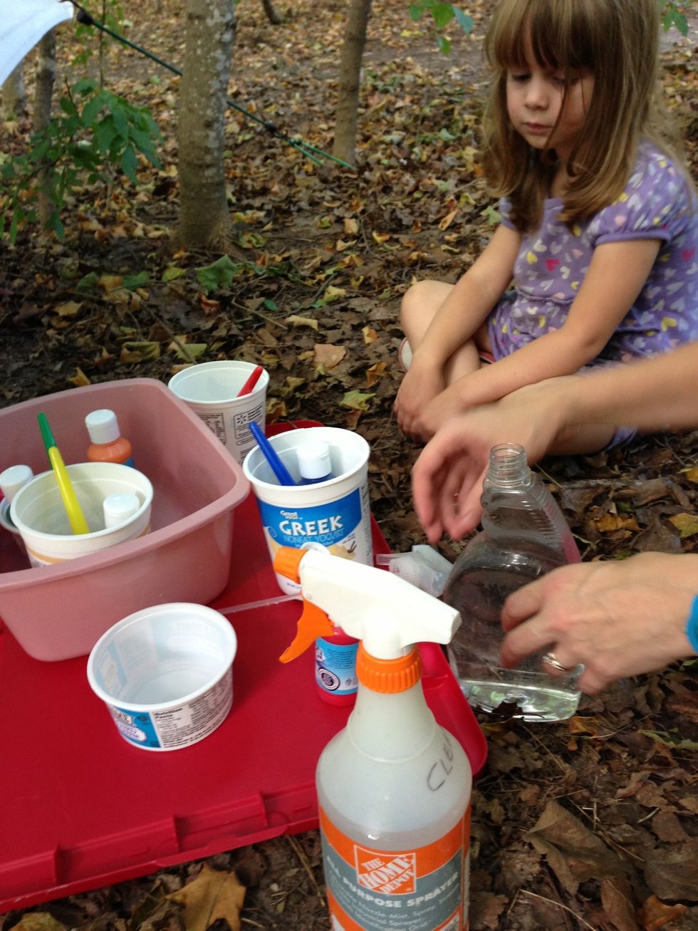 Put 1 - 2 tsp paint into each spray bottle already almost filled with water. .