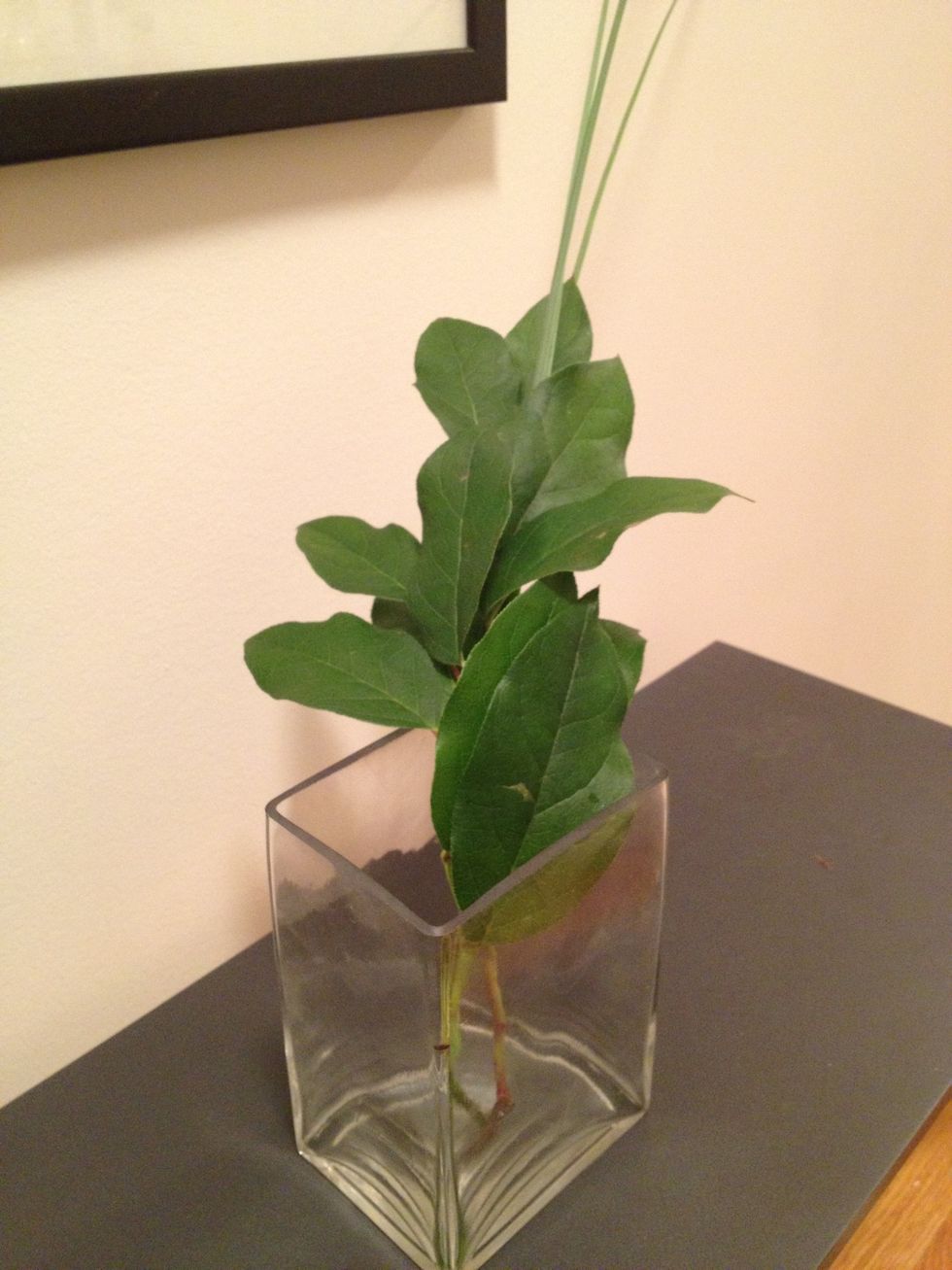 Put 1 stem of salal aside. Trim the remaining salal and place it in the vase at the same angle as your steel grass