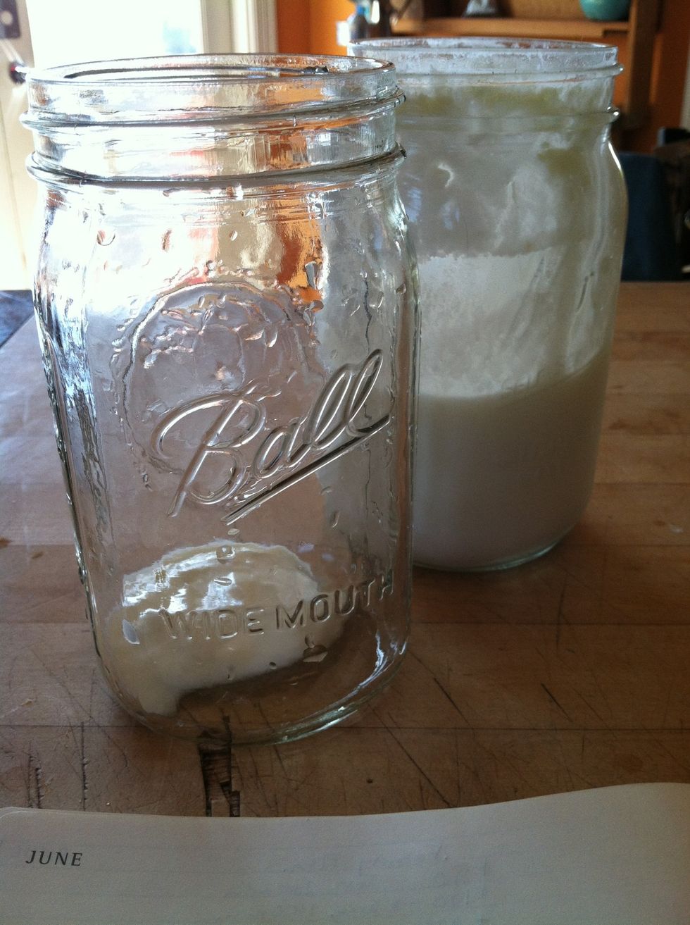 Put 1 tablespoon of live culture (existing yogurt...I use Greek yogurt) in 1 quart jar.