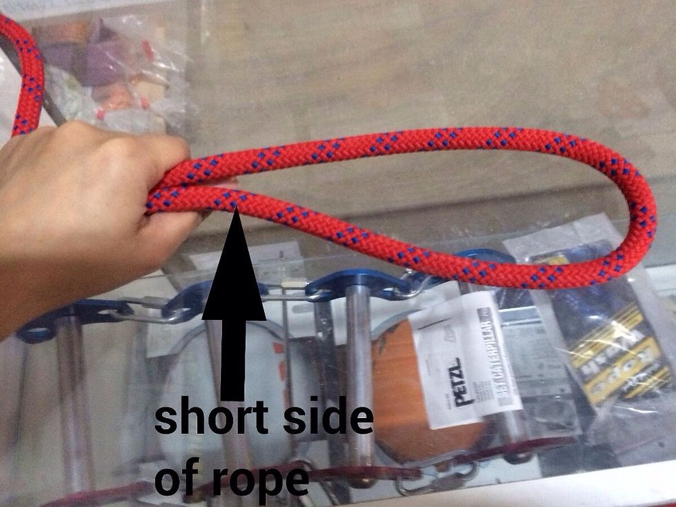 Put a bight in the rope with the short side (tag end) of the rope oriented downward.